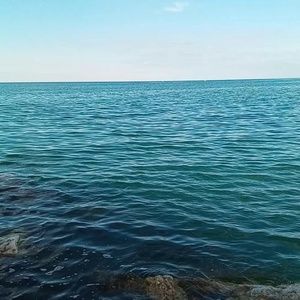 Meet your Posher, Lamar